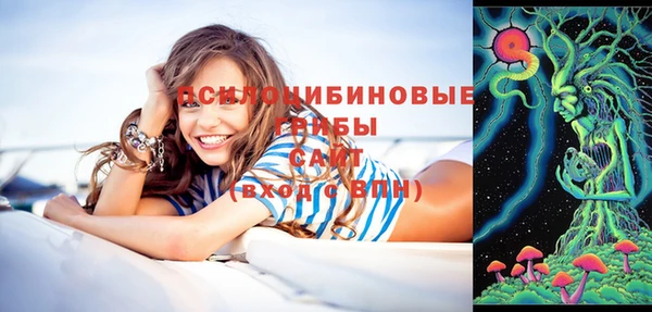спайс Киренск