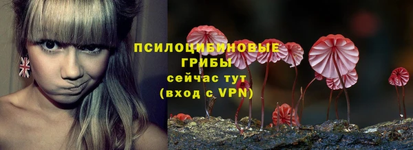 амф Лабытнанги