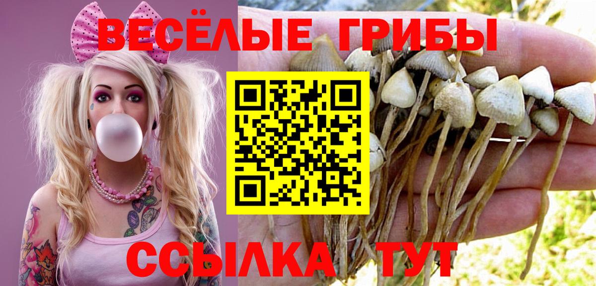 Менделеевск  Галлюциногенные грибы GOLDEN TEACHER  Галлюциногенные грибы Cubensis  Вход с VPN 