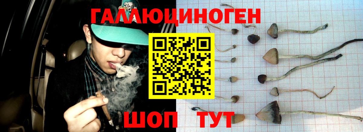 МАРИХУАНА Менделеевск